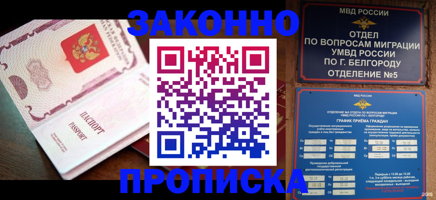 временная регистрация для школы в Борзе